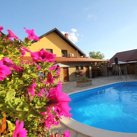 Guest House Vila Alexandar Palić Exteriör bild